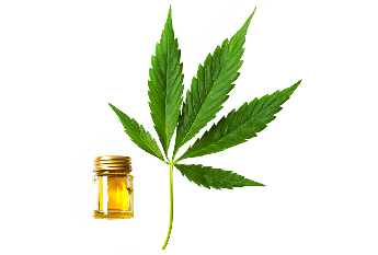 конопено масло в състава на Cannabis oil